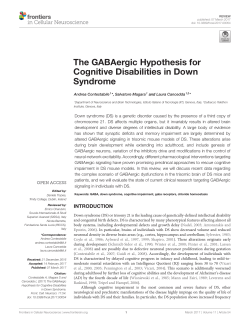 The GABAergic Hypothesis for Cognitive Disabilities in