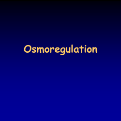 Osmoregulation