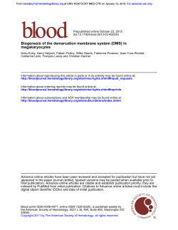 Biogenesis of the demarcation membrane system (DMS)