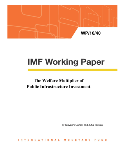 The Welfare Multiplier of Public Infrastructure Investment