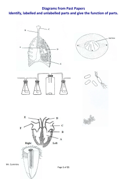 Diagrams from Past Papers Identify, labelled and