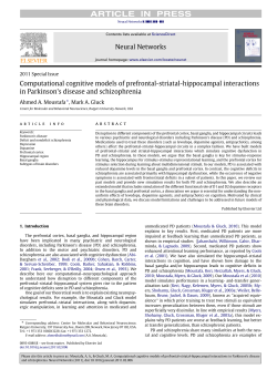 Computational cognitive models of prefrontal-striatal