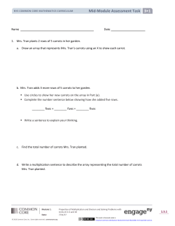 Mid-Module Assessment