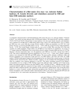 Characterization of a flint maize (Zea mays var. indurata) Italian