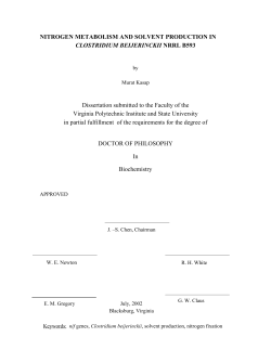 NITROGEN METABOLISM AND SOLVENT