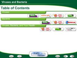 Bacteria Viruses and Bacteria