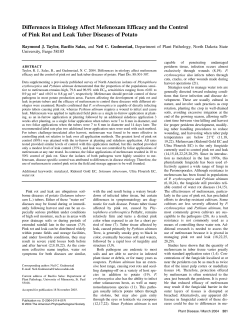 Differences in Etiology Affect Mefenoxam Efficacy