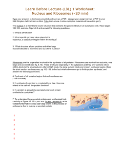 Lesson 3 Worksheet: Selective Permeability and Passive Transport