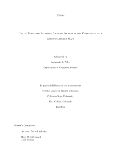 Thesis Use of Traveling Salesman Problem Solvers