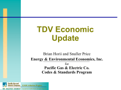 TDV Workshop Presentation Dec 14, 2000