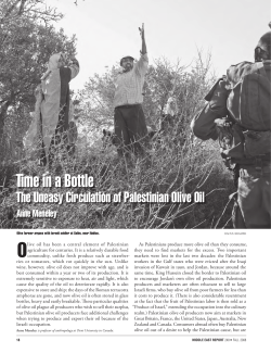 Middle East Report 248 (Fall 2008)