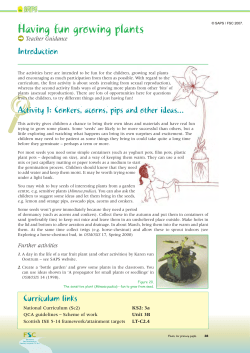 (c) SAPS/FSC 2007. - Science and Plants for Schools