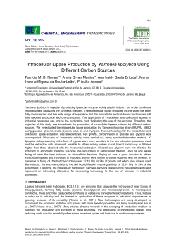 Intracellular Lipase Production by Yarrowia lipolytica Using Different