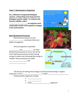 Topic 2- Homeostasis in Organisms
