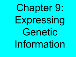 Unit 8-Protein Synthesis Notes
