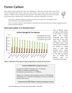 Forest Carbon - Amazon Simple Storage Service (S3)