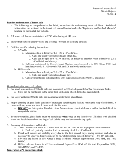 insect cell protocols v2