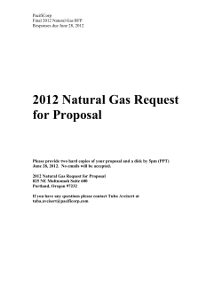 2012 Natural Gas RFP Main Document (MS Word file)