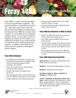 Foray 48BA Tech Bulletin