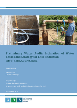 Preliminary Water Audit: Estimation of Water Losses and