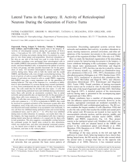 Lateral Turns in the Lamprey. II. Activity of Reticulospinal Neurons