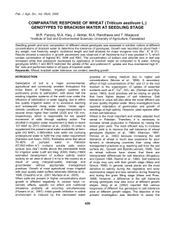 Comparative Response of Wheat (Triticum aestivum l