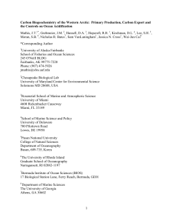 Primary Production, Carbon Export and the Controls on Ocean
