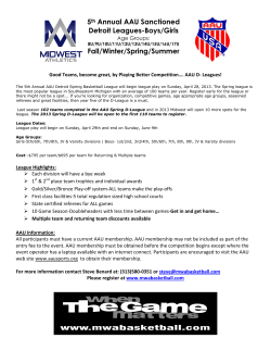 5th Annual AAU Sanctioned Detroit Leagues