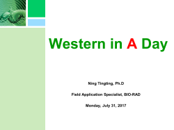 SsoFast EvaGreen Supermix