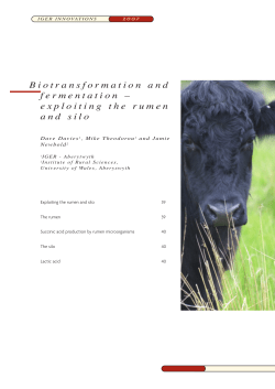 Biotransformation and fermentation