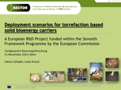 SECTOR - Production of Solid Sustainable Energy Carriers from