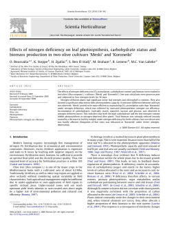Effects of nitrogen deficiency on leaf photosynthesis, carbohydrate
