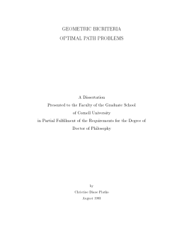 GEOMETRIC BICRITERIA OPTIMAL PATH