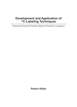 Development and application of 13C-labeling techniques: analyzing