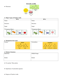 lipids - Northwest ISD Moodle