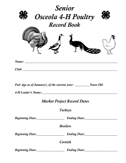 Senior Osceola 4-H Poultry