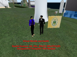 Virtual Worlds and Health