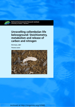 Stoichiometry, metabolism and release of carbon and nitrogen
