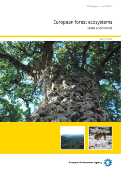 European forest ecosystems - European Environment Agency