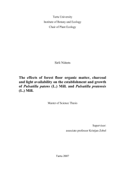 The effects of forest floor organic matter, charcoal and light