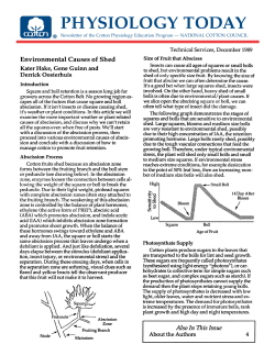 Environmental Causes of Shed - The National Cotton Council