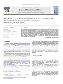 New method for electroporation of Lactobacillus species grown in