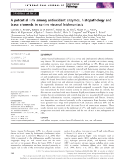 A potential link among antioxidant enzymes, histopathology and