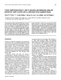 Latent equid herpesviruses 1 and 4: detection and distinction using