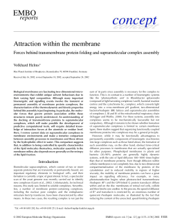 Attraction within the membrane