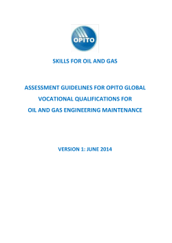 Assessment Guidelines for Engineering Maintenance