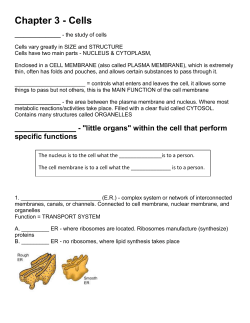 Movement of Substances Through the Cell