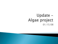 Update &ndash; Algae project