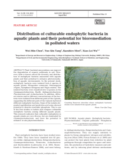 Distribution of culturable endophytic bacteria in aquatic plants and