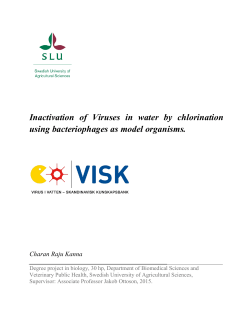 Inactivation of Viruses in water by chlorination using